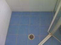 Affordable Shower Repairs