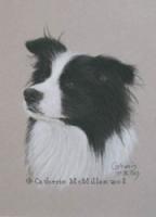 Animal Art House Pet Portraits