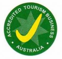 Bentleigh Coaches & Bentleigh Midi Coaches