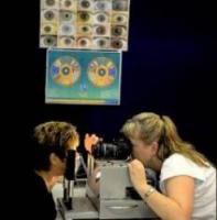 Better Health, Botanically - Lynella Morton