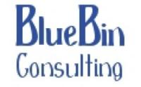 BlueBin Consulting