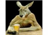 Kangaroo Hoppa (Pro Drive)