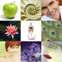 Lotus Dental