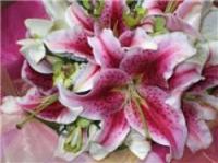 Momento Magico Florist