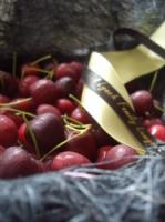 Personalised Ribbons