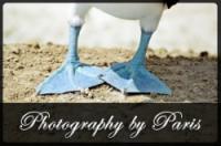 Photography by Paris