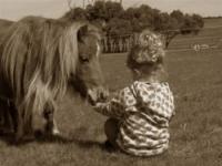 Rainbow Pony Parties