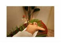 Summer Breeze Beauty Day Spa