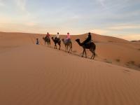 Sahara Desert, Morocco