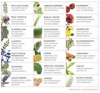 LifeStart Naturopathics