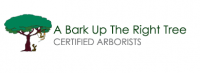 A Bark Up The Right Tree