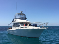 Boutique Cruise, Dive & Charter