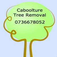 Caboolture Tree Removal