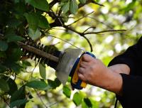 Northern Beaches Garden Maintenance