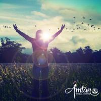 Amtan Medical Reedy Creek Village