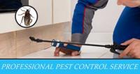 Cockroach Control Melbourne