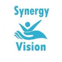 Synergy Vision