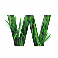 Wattle Health Australia Limited