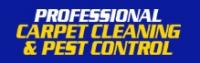 Professional Carpet Cleaning