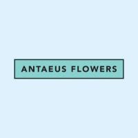 Antaeus Flowers
