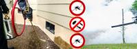Arrow Exterminating Pest Control Melbourne