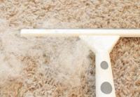 Carpet Cleaning Narre Warren
