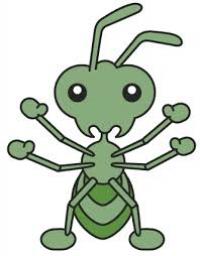 Deterant Pest Control Adelaide