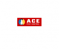 Geelong Pest Control