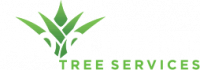 Pro Climbing Tree Services