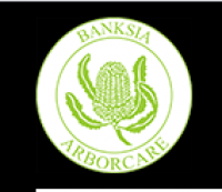 Banksia Arborcare