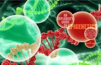 Bio Balance Health LTD