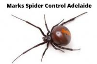 Spider Control Adelaide