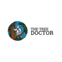 The Tree Doctor