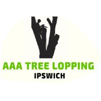 AAA - Tree Lopping Ipswich