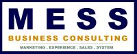 MESS Business Consulting
