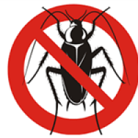 Pest Control Geelong