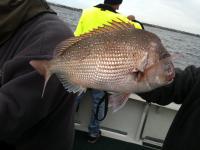Fishing Charters St Kilda | St Kilda Boat Hire - stkildacharters