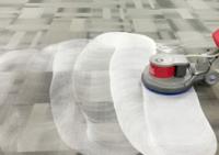 Local Carpet Cleaning Caboolture