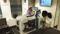 Melbourne CBD Physiotherapy