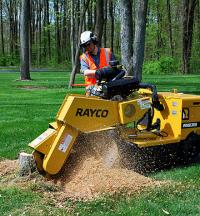 Perth Stump Grinding