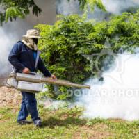 Pest Control Brisbane | Rodent Control Brisbane | Bird & Ant Treatment