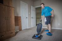 carpet steam cleaning