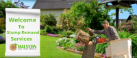 Stump Removal Malvern