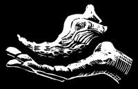 Tara Holistic Physiotherapy