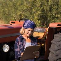 Yellow Dog Industries