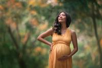 Sandpiper Photography