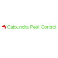 Caloundra Pest Control