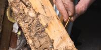 House Inspections Ballarat Region