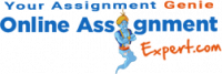 Online Assignment Expert