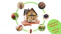 Pest Control Kelvin Grove